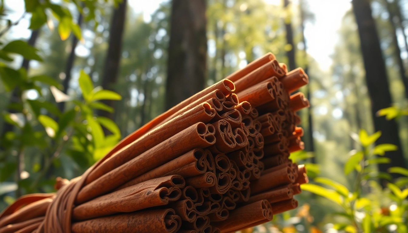 Cinnamon bark displayed prominently in a lush forest setting, highlighting its rich texture.